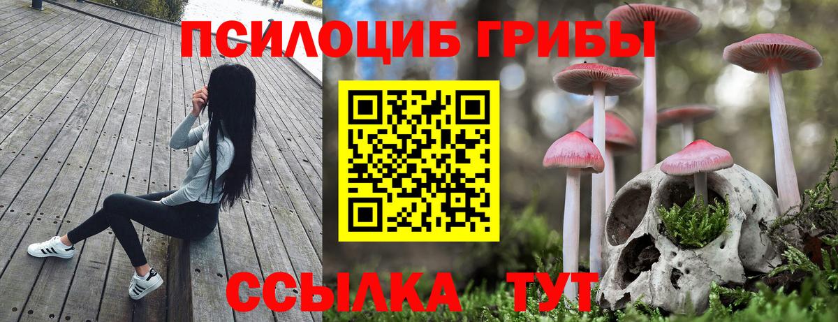 Псилоцибиновые грибы ЛСД Феодосия