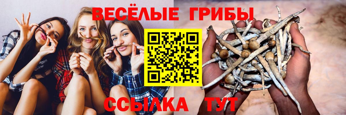 Феодосия  Галлюциногенные грибы прущие грибы  купить  сайты  Вход с VPN 